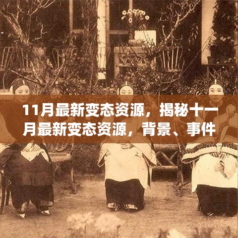 揭秘十一月最新變態(tài)資源，背景、事件、影響與時代地位全面解析