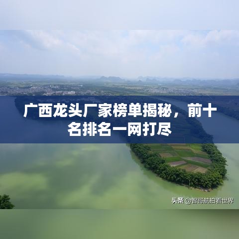 廣西龍頭廠家榜單揭秘，前十名排名一網(wǎng)打盡