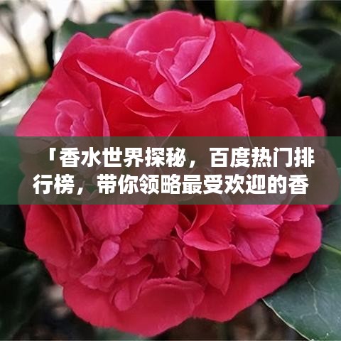 「香水世界探秘，百度熱門排行榜，帶你領(lǐng)略最受歡迎的香水香氣」