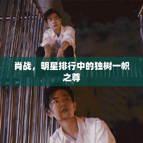 肖戰(zhàn)，明星排行中的獨(dú)樹一幟之尊