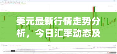 美元最新行情走勢分析，今日匯率動態(tài)及市場解讀