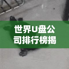 員工入口 第7頁(yè)