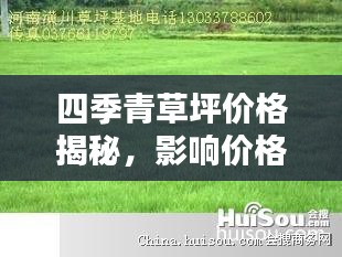 四季青草坪價(jià)格揭秘，影響價(jià)格的因素全解析