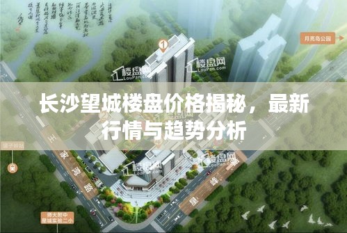 長沙望城樓盤價格揭秘，最新行情與趨勢分析
