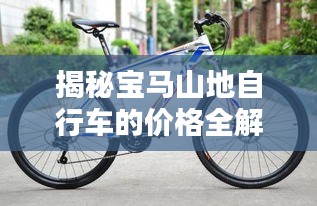 揭秘寶馬山地自行車的價格全解析！