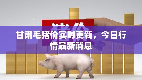 甘肅毛豬價實時更新，今日行情最新消息
