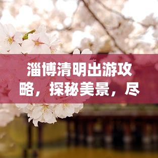 淄博清明出游攻略，探秘美景，盡享文化盛宴！