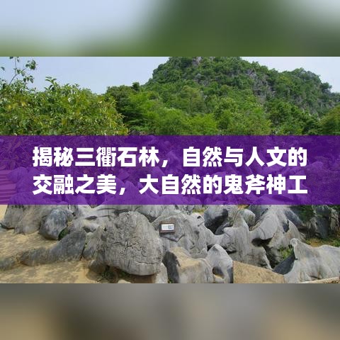 揭秘三衢石林，自然與人文的交融之美，大自然的鬼斧神工欣賞