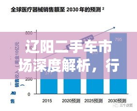 遼陽二手車市場深度解析，行情、趨勢與前景展望