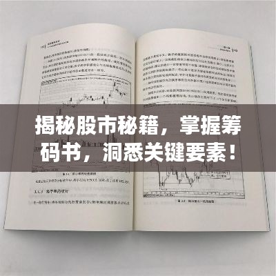 揭秘股市秘籍，掌握籌碼書(shū)，洞悉關(guān)鍵要素！