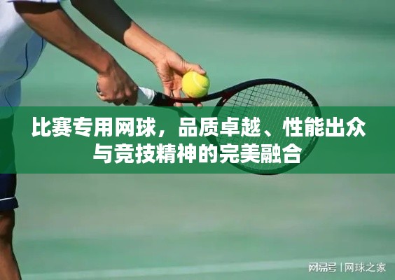 比賽專用網(wǎng)球，品質(zhì)卓越、性能出眾與競技精神的完美融合