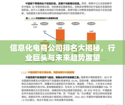 信息化電商公司排名大揭秘，行業(yè)巨頭與未來趨勢展望