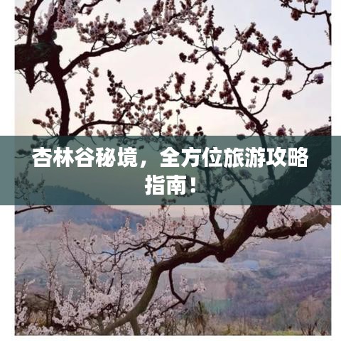 杏林谷秘境，全方位旅游攻略指南！