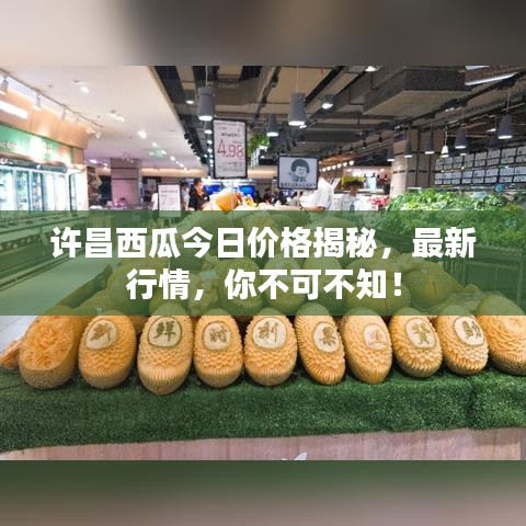 許昌西瓜今日價(jià)格揭秘，最新行情，你不可不知！