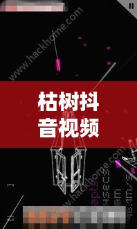 枯樹抖音視頻，探索最新版視頻世界，體驗(yàn)獨(dú)特魅力