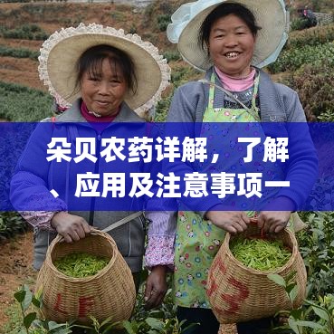 朵貝農(nóng)藥詳解，了解、應(yīng)用及注意事項(xiàng)一網(wǎng)打盡