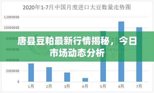 唐縣豆粕最新行情揭秘，今日市場動態(tài)分析