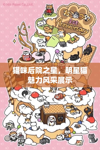 貓咪后院之星，明星貓魅力風采展示