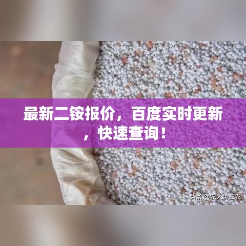 最新二銨報(bào)價(jià)，百度實(shí)時(shí)更新，快速查詢(xún)！