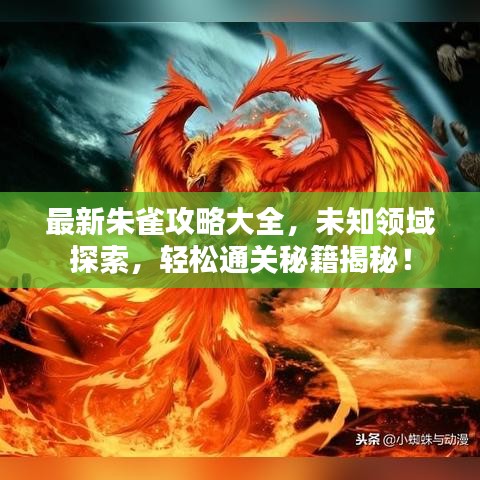 最新朱雀攻略大全，未知領(lǐng)域探索，輕松通關(guān)秘籍揭秘！