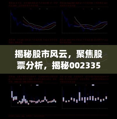 揭秘股市風云，聚焦股票分析，揭秘002335股票動態(tài)與前景展望