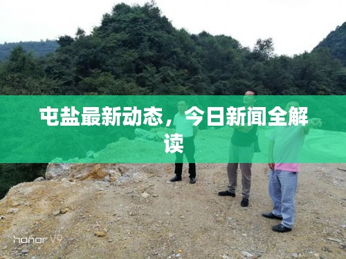屯鹽最新動(dòng)態(tài)，今日新聞全解讀