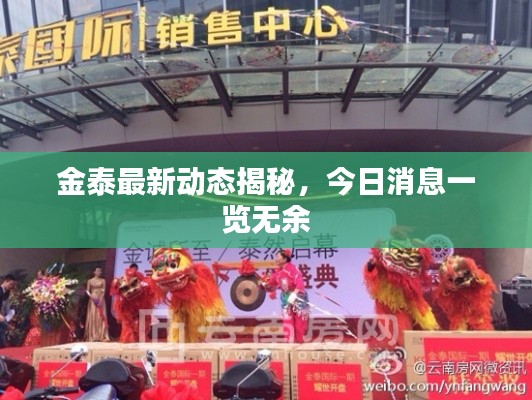 金泰最新動態(tài)揭秘，今日消息一覽無余