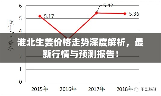 淮北生姜價格走勢深度解析，最新行情與預(yù)測報告！