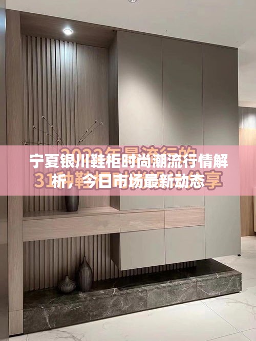 寧夏銀川鞋柜時尚潮流行情解析，今日市場最新動態(tài)