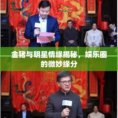 金豬與明星情緣揭秘，娛樂圈的微妙緣分