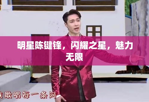 明星陳鍵鋒，閃耀之星，魅力無(wú)限