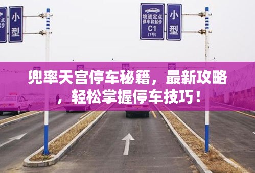 兜率天宮停車秘籍，最新攻略，輕松掌握停車技巧！