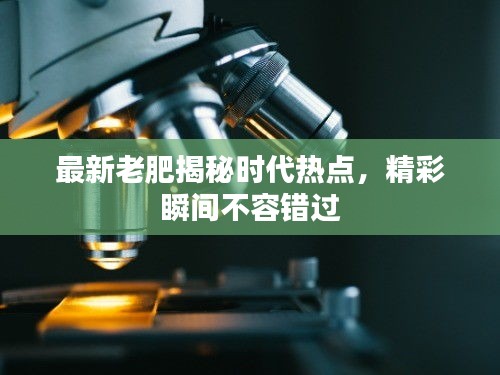 最新老肥揭秘時代熱點，精彩瞬間不容錯過