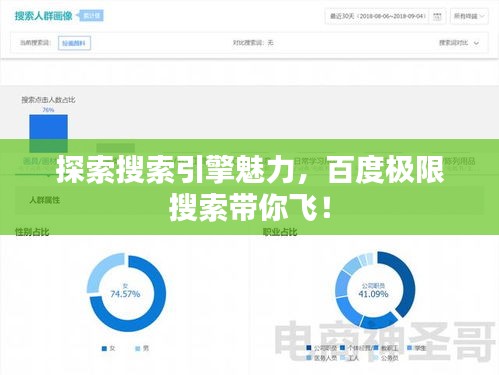 探索搜索引擎魅力，百度極限搜索帶你飛！