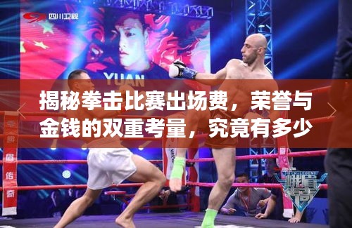 揭秘拳擊比賽出場費，榮譽與金錢的雙重考量，究竟有多少？