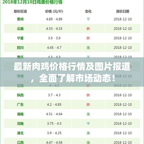 最新肉雞價格行情及圖片報道，全面了解市場動態(tài)！